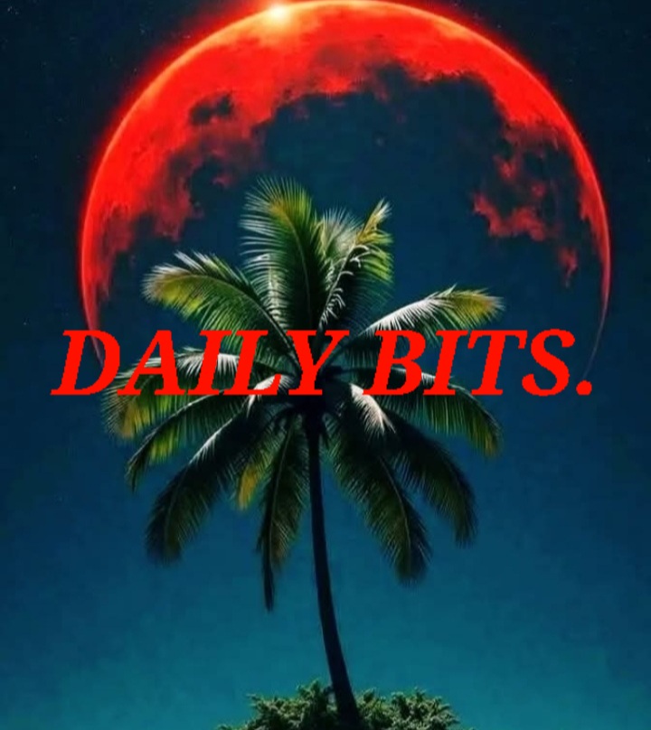 Daili BitsGallery